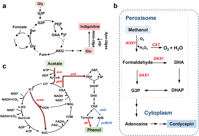 image file: d5im00356c-f5.tif
