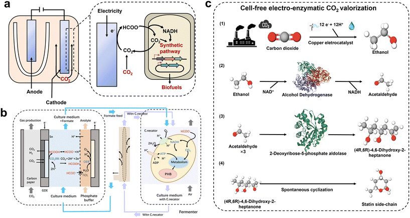 image file: d5im00356c-f7.tif