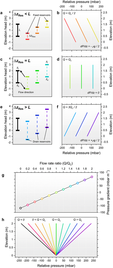 image file: d5im00372e-f2.tif