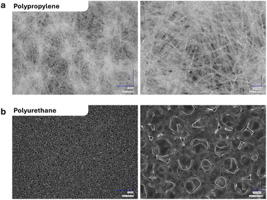 image file: d5im00372e-f4.tif