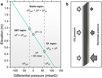 image file: d5im00372e-f7.tif