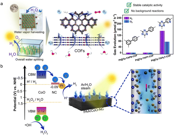 image file: d5im00380f-f4.tif