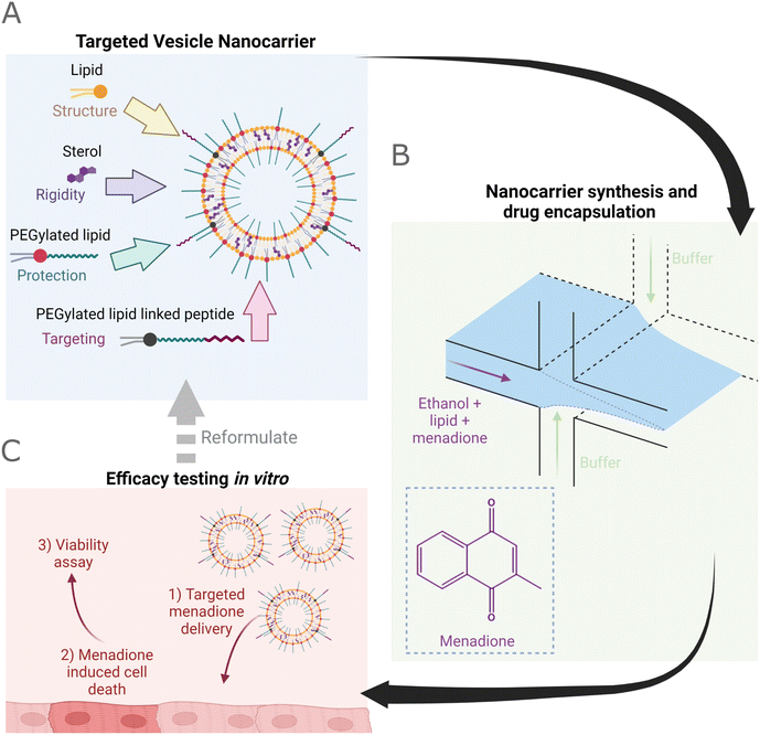 image file: d3lc00995e-f1.tif