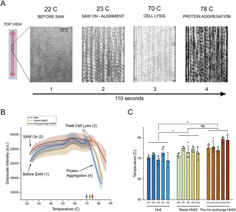 image file: d4lc00847b-f2.tif