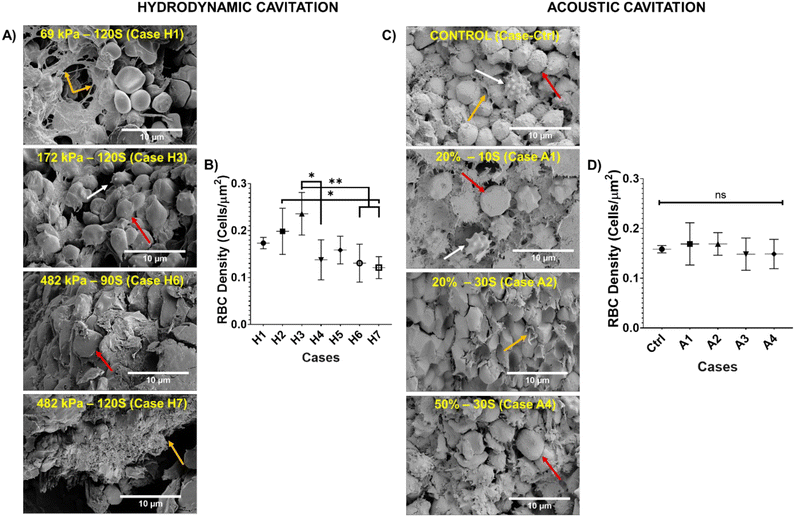 image file: d5lc00482a-f3.tif