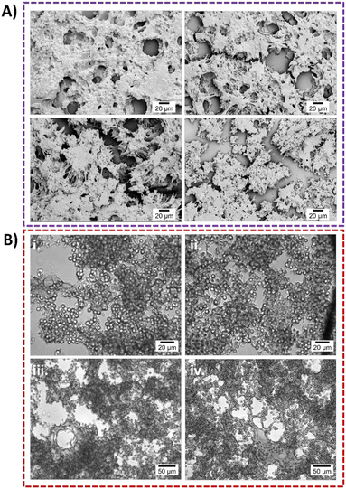 image file: d5lc00482a-f5.tif