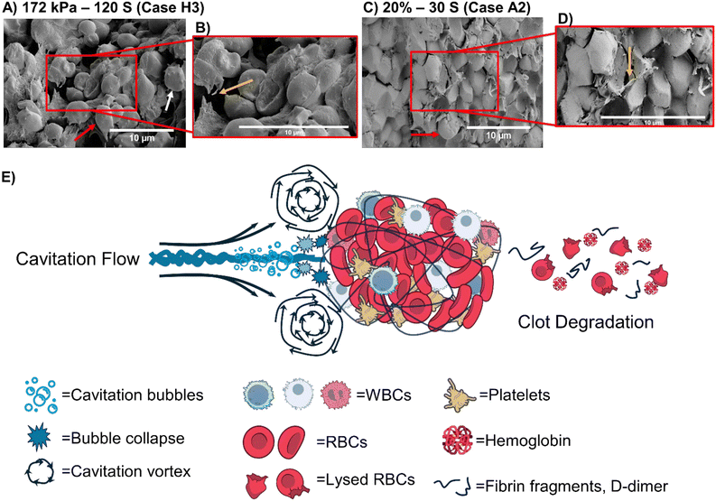 image file: d5lc00482a-f6.tif