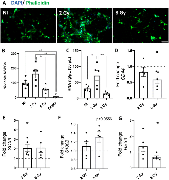 image file: d5lc00498e-f6.tif