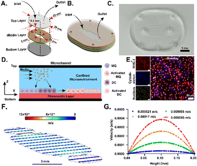 image file: d5lc00533g-f1.tif