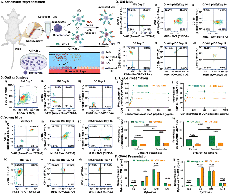 image file: d5lc00533g-f2.tif
