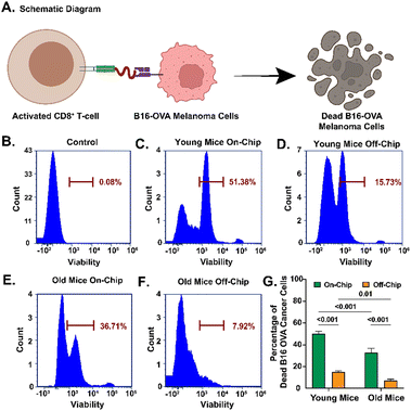 image file: d5lc00533g-f4.tif