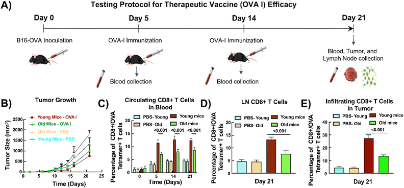 image file: d5lc00533g-f5.tif