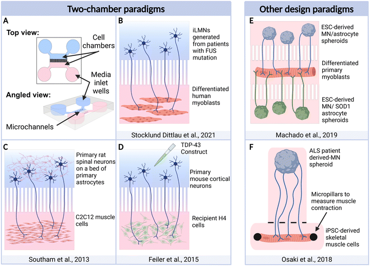 image file: d5lc00577a-f3.tif