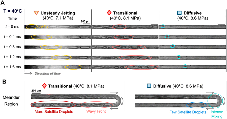 image file: d5lc00616c-f4.tif