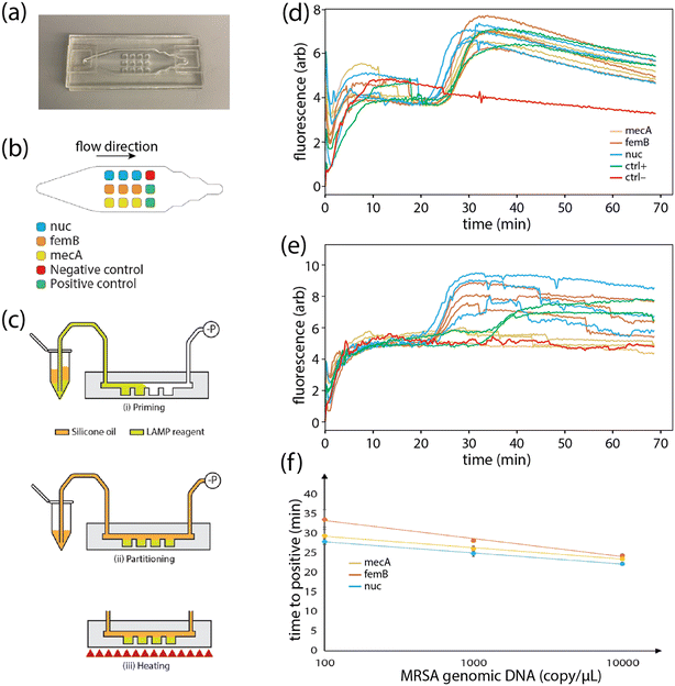 image file: d5lc00632e-f4.tif