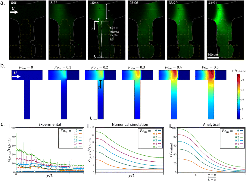 image file: d5lc00647c-f2.tif