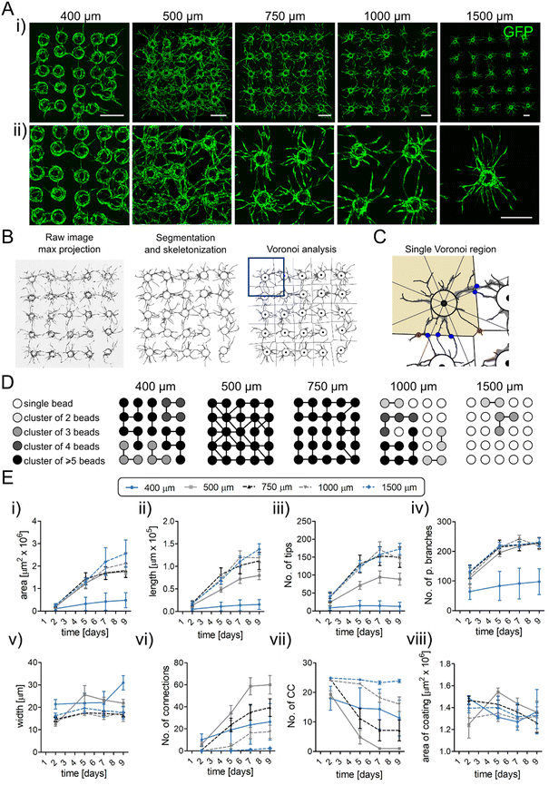image file: d5lc00664c-f2.tif