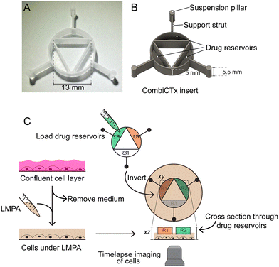 image file: d5lc00686d-f1.tif