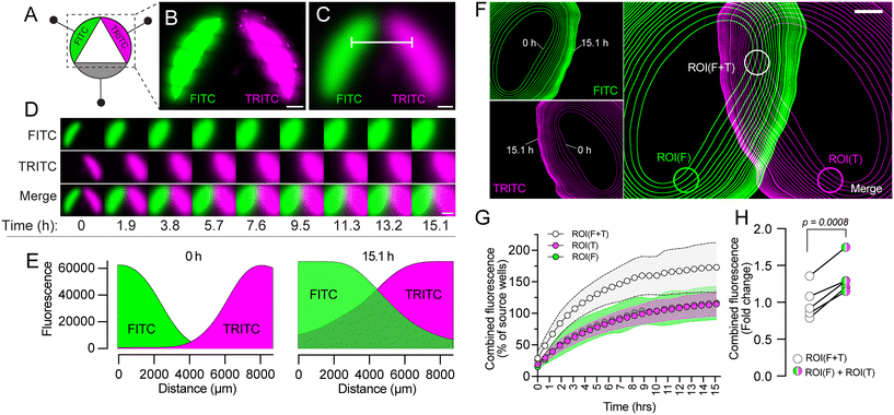 image file: d5lc00686d-f2.tif