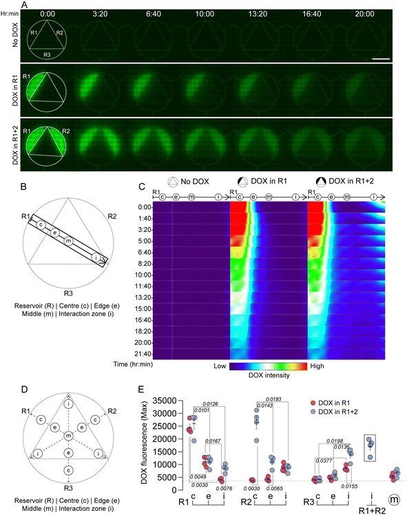 image file: d5lc00686d-f3.tif