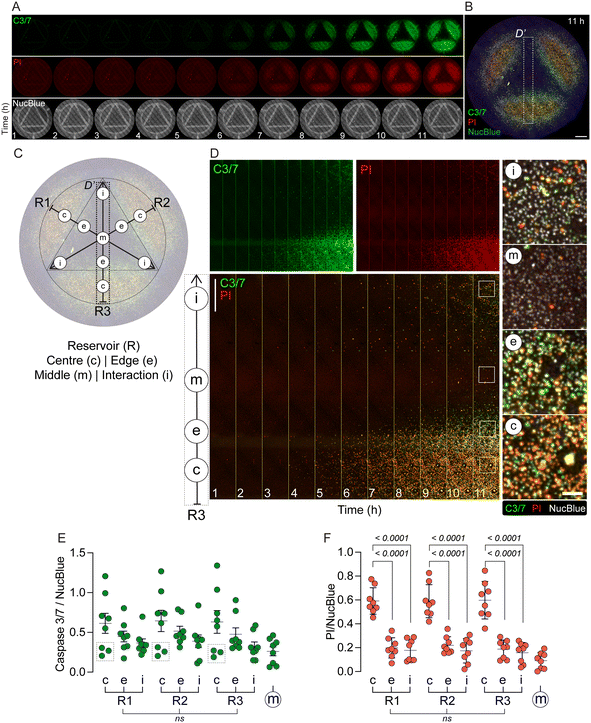 image file: d5lc00686d-f4.tif
