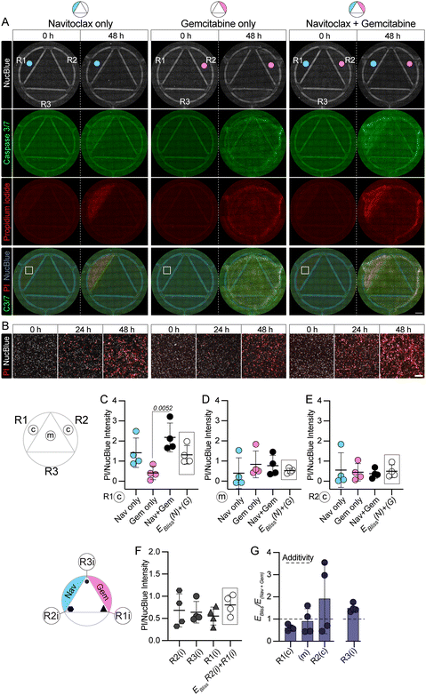 image file: d5lc00686d-f5.tif