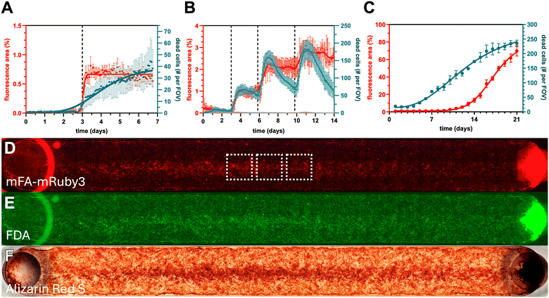 image file: d5lc00742a-f1.tif