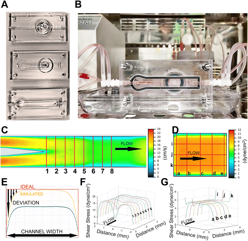 image file: d5lc00742a-f2.tif