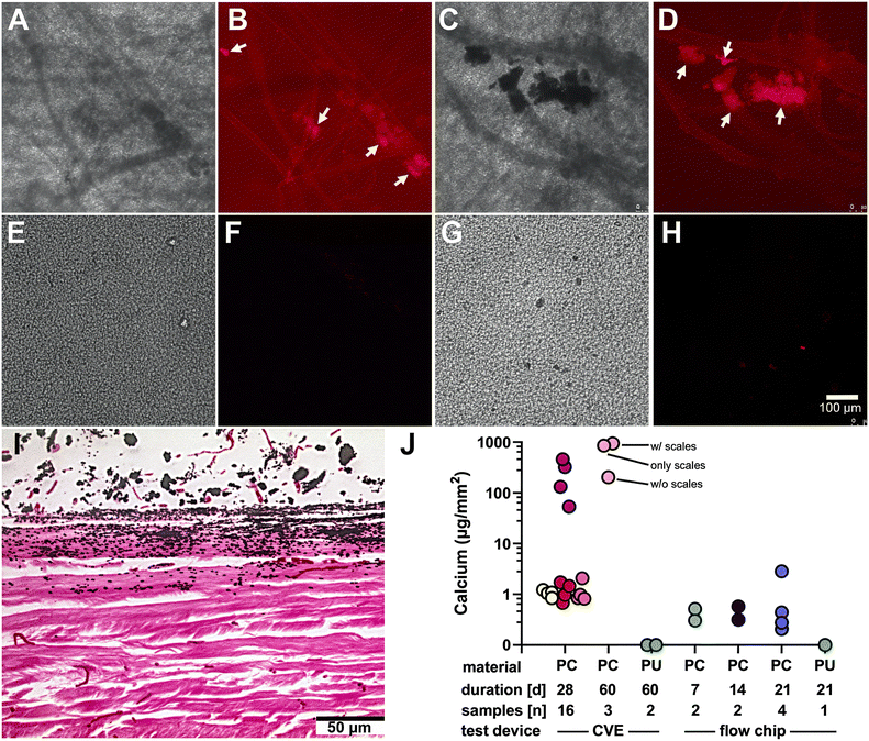 image file: d5lc00742a-f4.tif