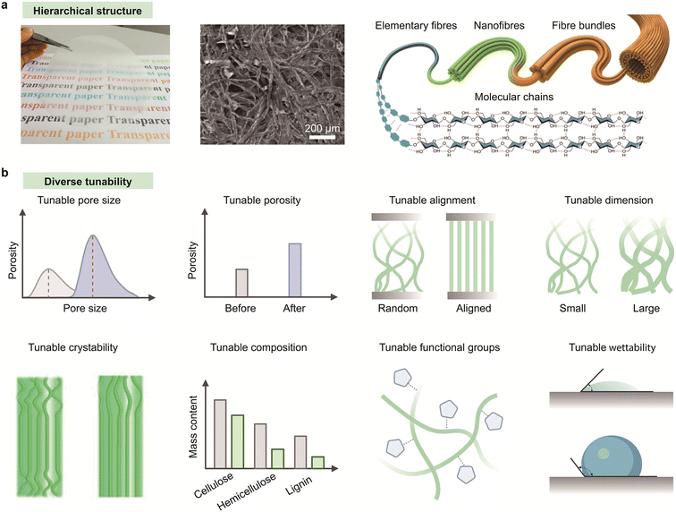 image file: d5lc00754b-f2.tif