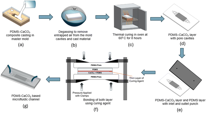 image file: d5lc00775e-f2.tif