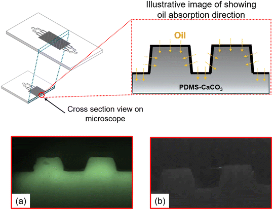 image file: d5lc00775e-f6.tif
