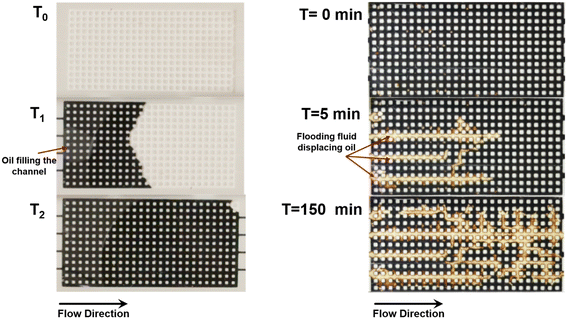image file: d5lc00775e-f8.tif