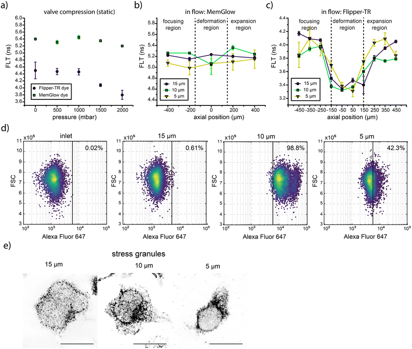 image file: d5lc00833f-f6.tif