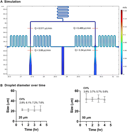 image file: d5lc00839e-f2.tif