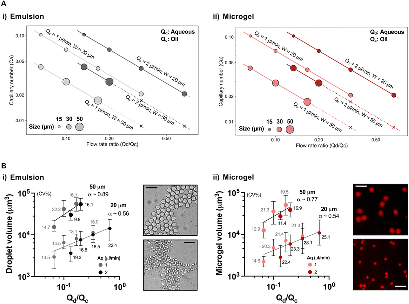 image file: d5lc00839e-f3.tif