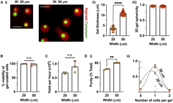 image file: d5lc00839e-f4.tif