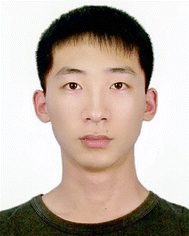 image file: d5lc00854a-p1.tif