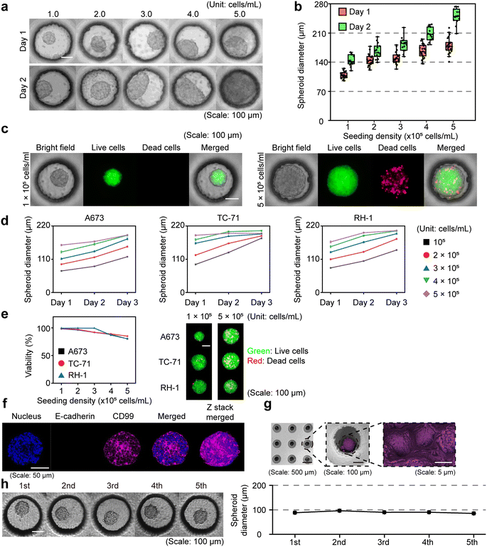 image file: d5lc00856e-f2.tif
