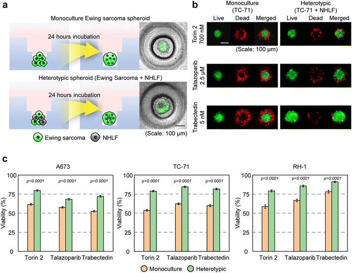image file: d5lc00856e-f4.tif