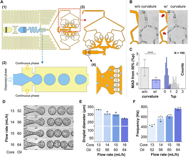 image file: d5lc00865d-f2.tif