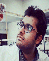 image file: d5lc00869g-p2.tif