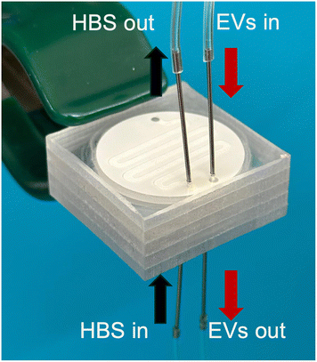 image file: d5lc00870k-f7.tif