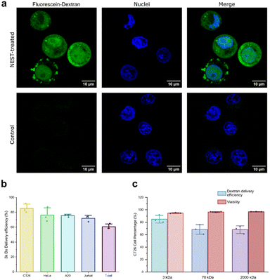 image file: d5lc00871a-f2.tif