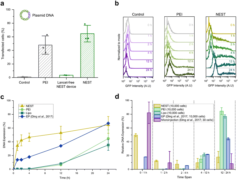 image file: d5lc00871a-f3.tif