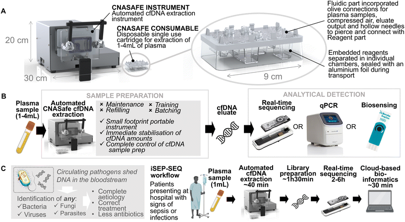 image file: d5lc00876j-f1.tif