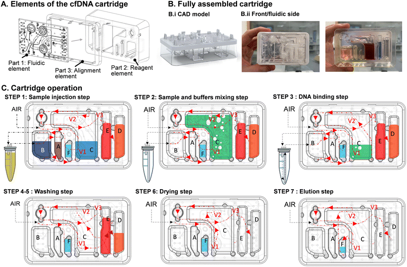 image file: d5lc00876j-f2.tif