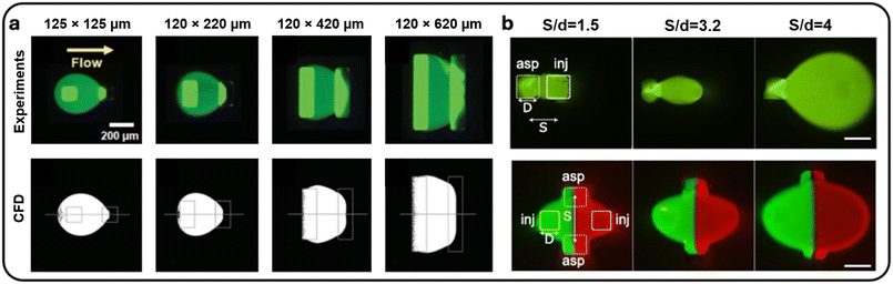 image file: d5lc00879d-f2.tif
