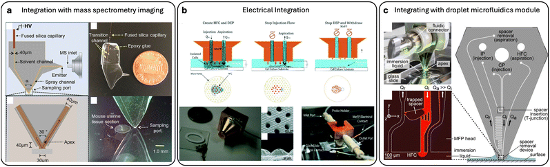 image file: d5lc00879d-f5.tif