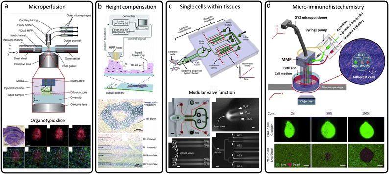 image file: d5lc00879d-f6.tif